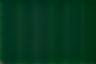 Emirates Fairway Properties Logo in Footer
